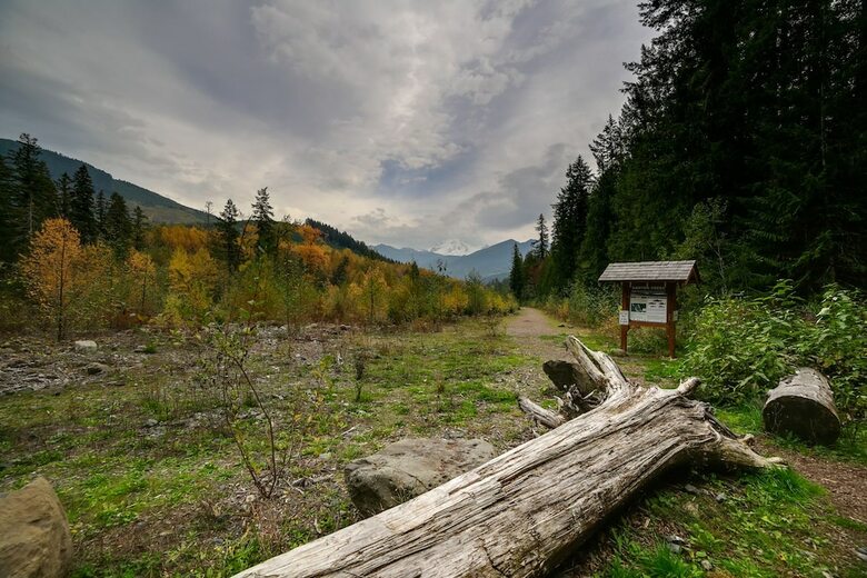 Mt. Baker Lodging Cabin 40 ? Pool Table, Sleeps 11! By Mbl
