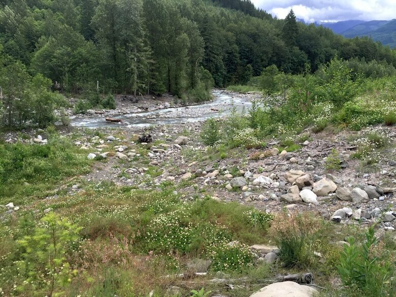 Mt. Baker Lodging Cabin 16 ? Hot Tub, Pets, Sleeps 4! By Mbl