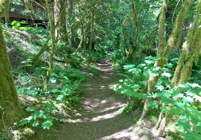 Mt. Baker Lodging  Cabin 4 ?pet Friendly, Sleeps 5! By Mbl