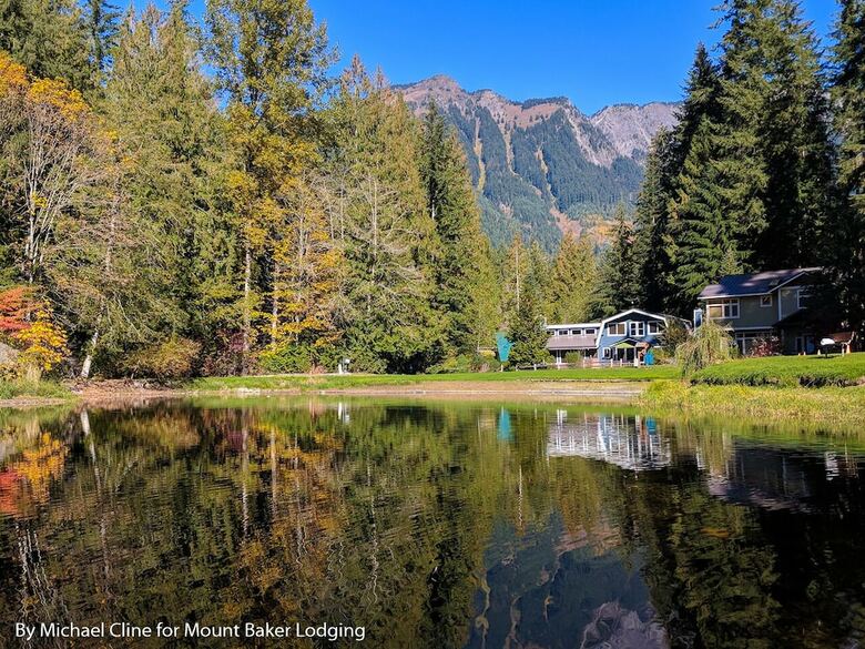 Mt. Baker Lodging  Cabin 4 ?pet Friendly, Sleeps 5! By Mbl