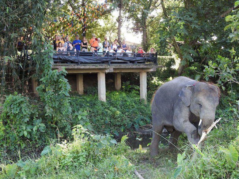 Hotel Sapana Village Lodge