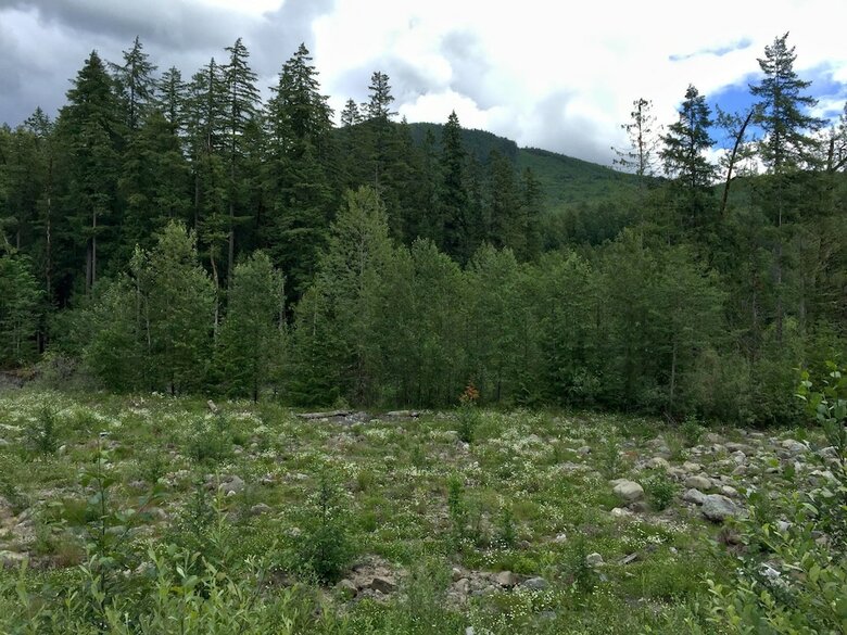 Mt. Baker Lodging Cabin 22 ? Wifi, Pets Ok, Sleeps 8! By Mbl