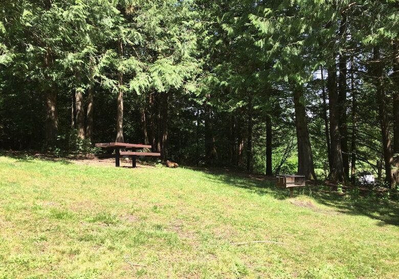Mt. Baker Lodging Cabin 67 ? Hot Tub, Frpl, Sleeps 5! By Mbl