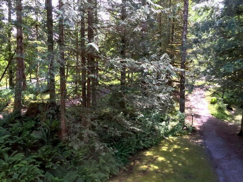 Mt. Baker Lodging Condo #80 ? Fireplace, Sleeps 4! By Mbl