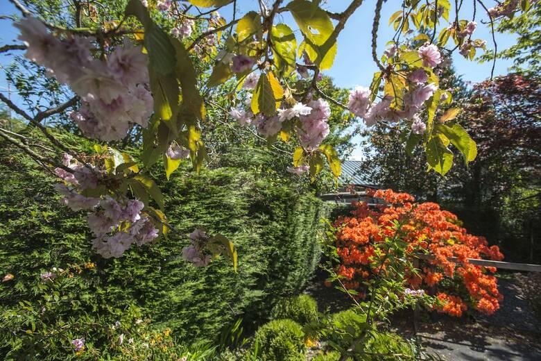 Bed & Breakfast Windermere Suites