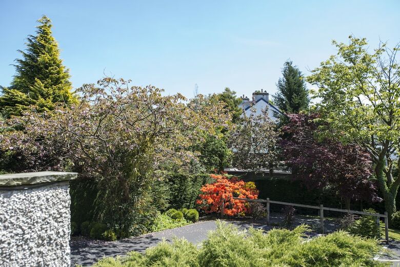 Bed & Breakfast Windermere Suites