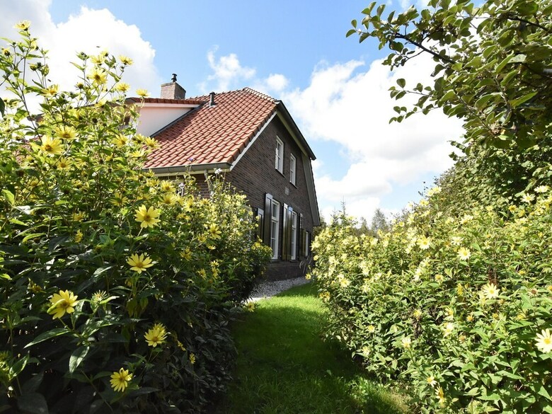 Cozy Holiday Home In Hollandscheveld With Forest Near