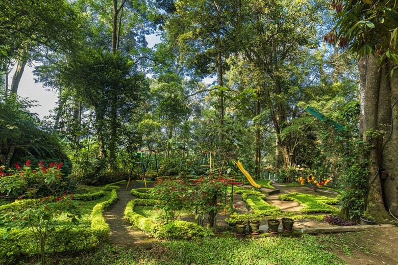 Hotel The Tall Trees Munnar