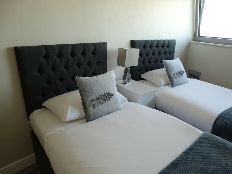 The Cardiff Apartment