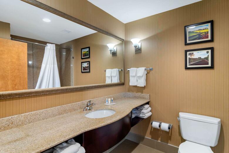 Hotel Comfort Suites Byron