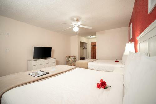Motel Island Sun Inn - Venice