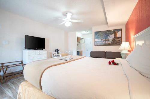 Motel Island Sun Inn - Venice