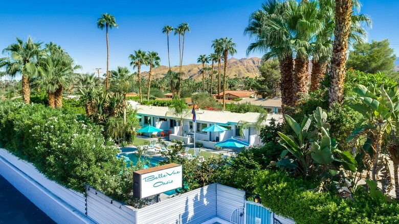 Motel Bellevue Oasis