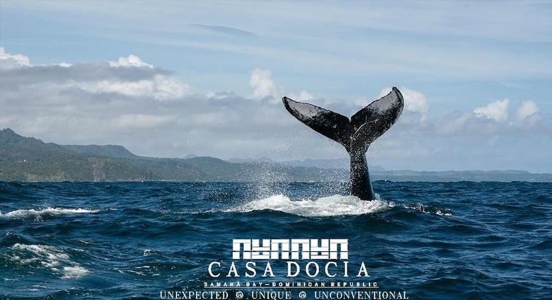 Hotel Casa Docia Samana
