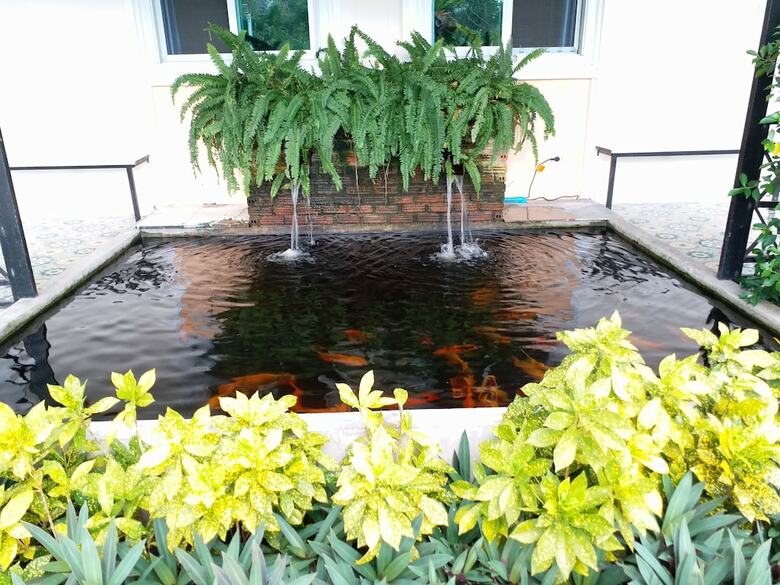 Hotel Fancy Carp Resort
