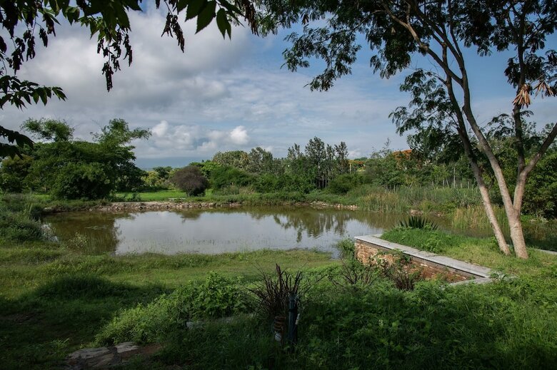 Hotel Dholes Den Bandipur