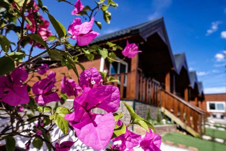 Third Sister B&B