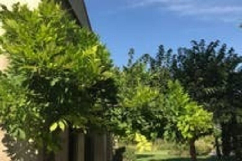 Residencia Mas Des Champs