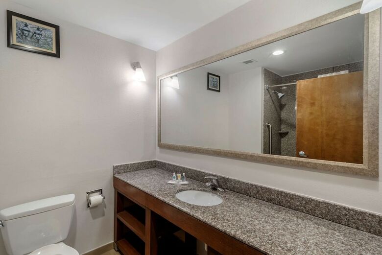 Hotel Comfort Suites Macon