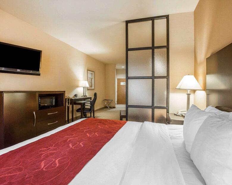 Hotel Comfort Suites Macon