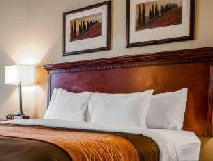 Hotel Comfort Inn & Suites Mobile Near Eastern Shore Centre