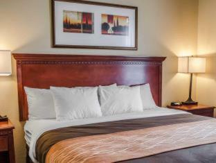 Hotel Comfort Inn & Suites Mobile Near Eastern Shore Centre