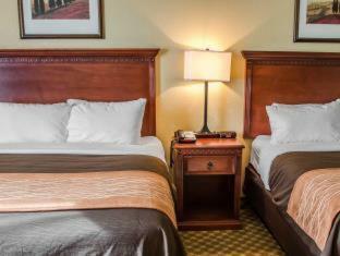 Hotel Comfort Inn & Suites Mobile Near Eastern Shore Centre