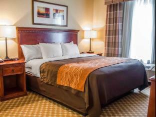 Hotel Comfort Inn & Suites Mobile Near Eastern Shore Centre