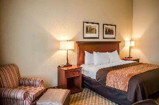 Hotel Comfort Inn & Suites Mobile Near Eastern Shore Centre