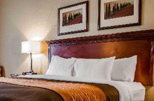 Hotel Comfort Inn & Suites Mobile Near Eastern Shore Centre