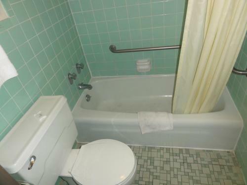 Motel Budget Inn Selma