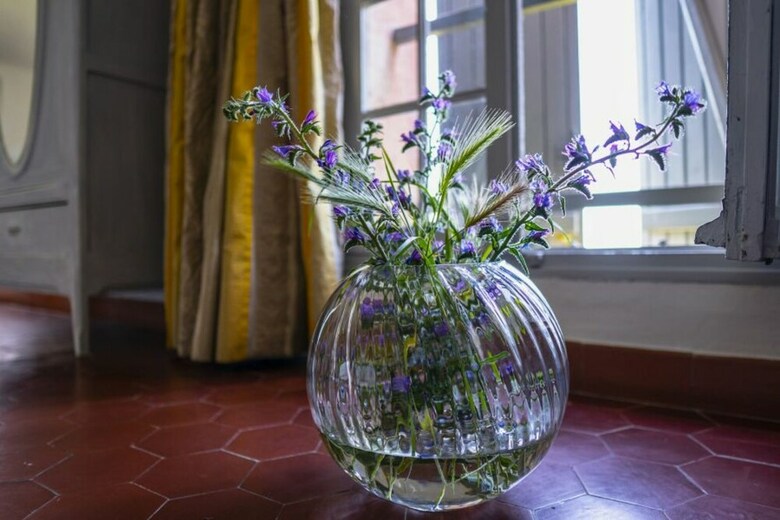 Bed & Breakfast Domaine de La Royrie - Chambres D'hotes