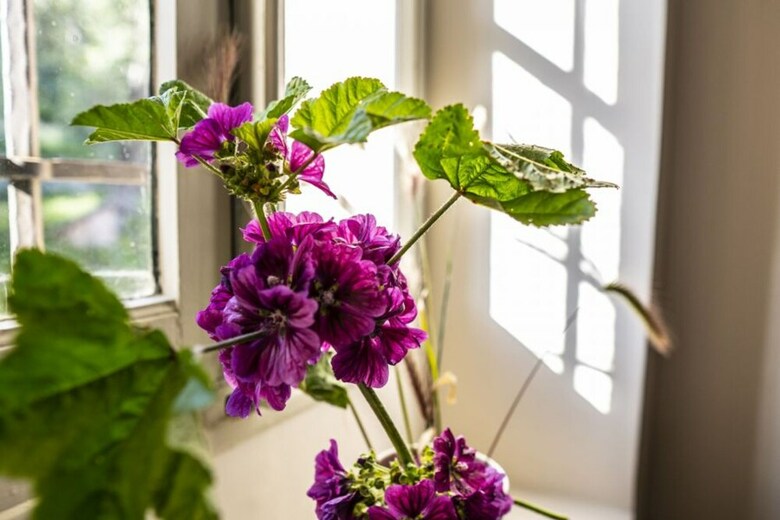 Bed & Breakfast Domaine de La Royrie - Chambres D'hotes