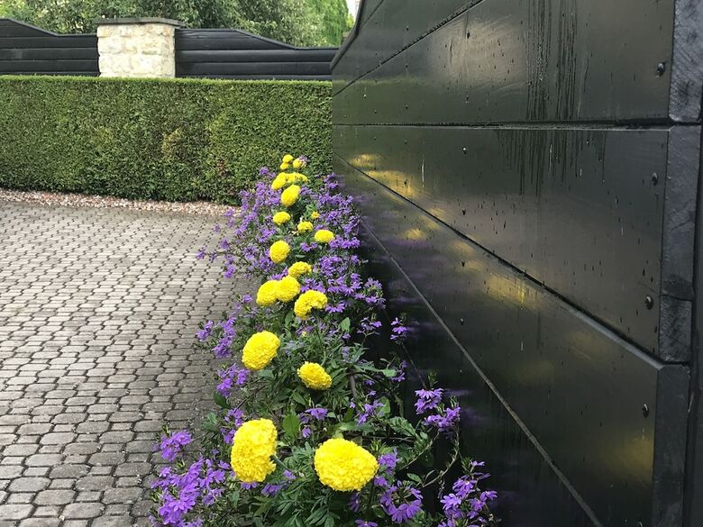 Antik Hotel Sofia Litomysl