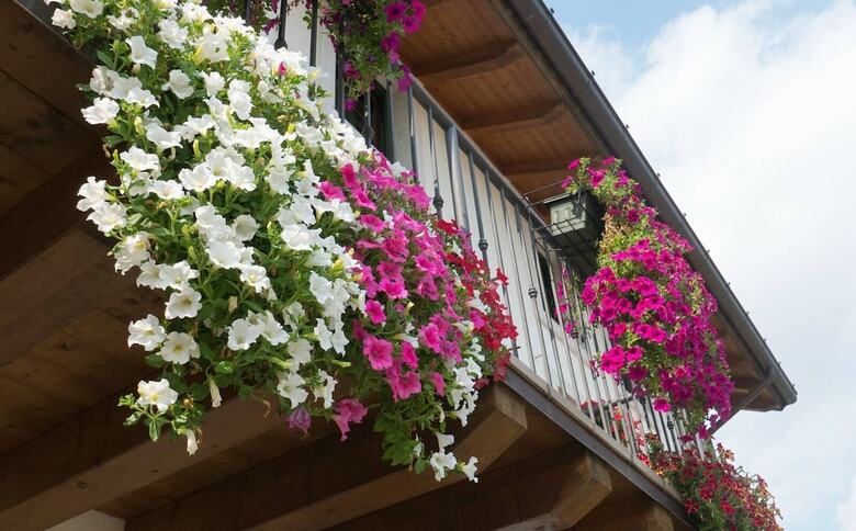Agroturismo Residence Caporale