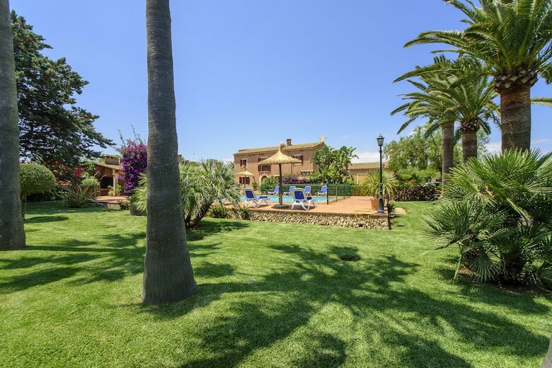 Finca Mungi