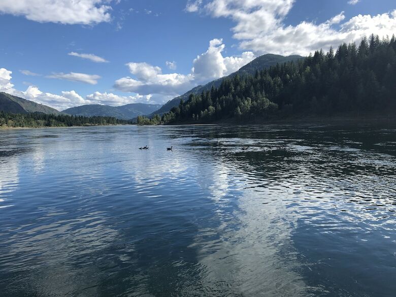 Bed & Breakfast Wolf's Den On The River