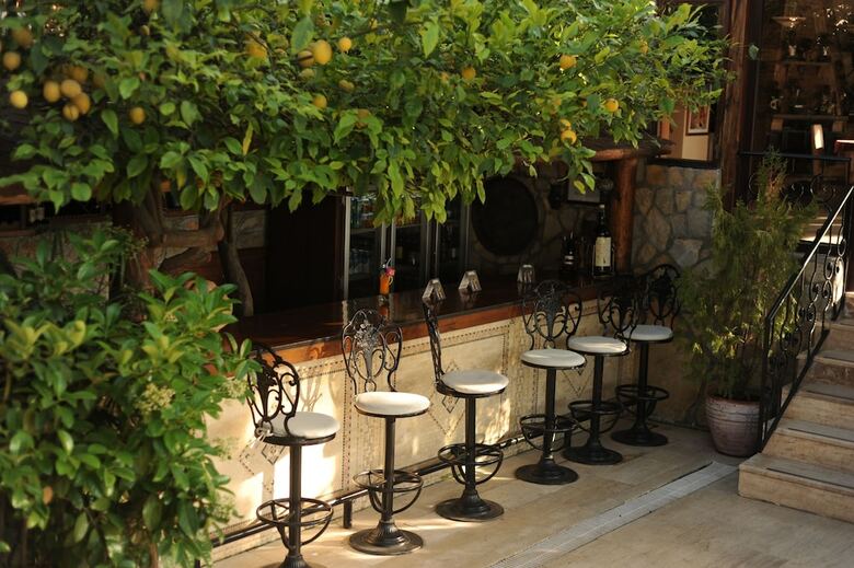 Hotel Villa Daffodil - Special Class
