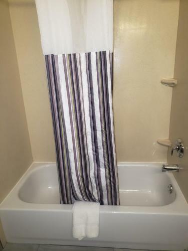 Hotel La Quinta Inn & Suites Mobile - Tillman's Corner