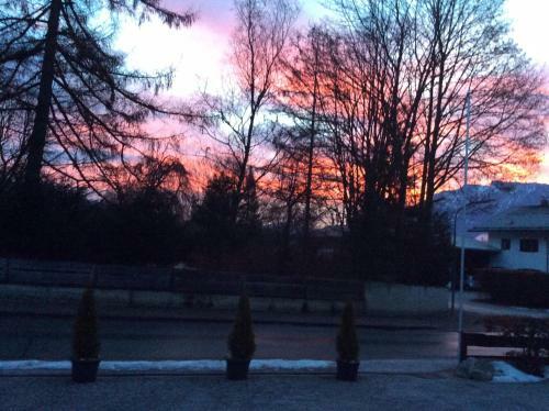 Hostal Fr�hst�ckspension Lavendel