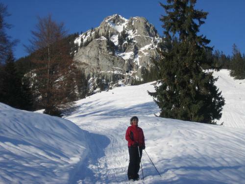 Hostal Fr�hst�ckspension Lavendel