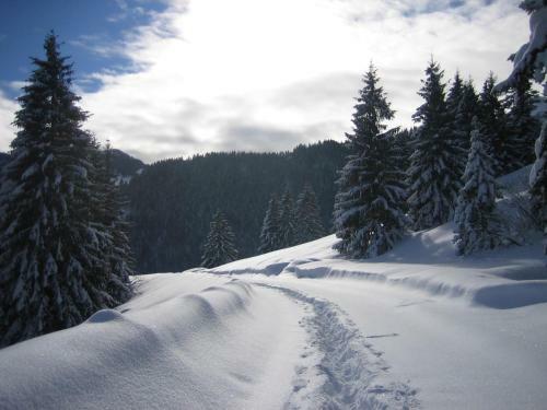 Hostal Fr�hst�ckspension Lavendel
