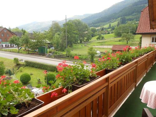 Hostal Gasthaus Zur Erle