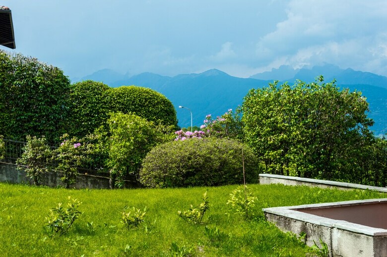 Apartamento Ortensia