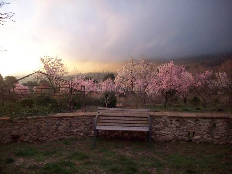 Agroturismo Mas Olivella