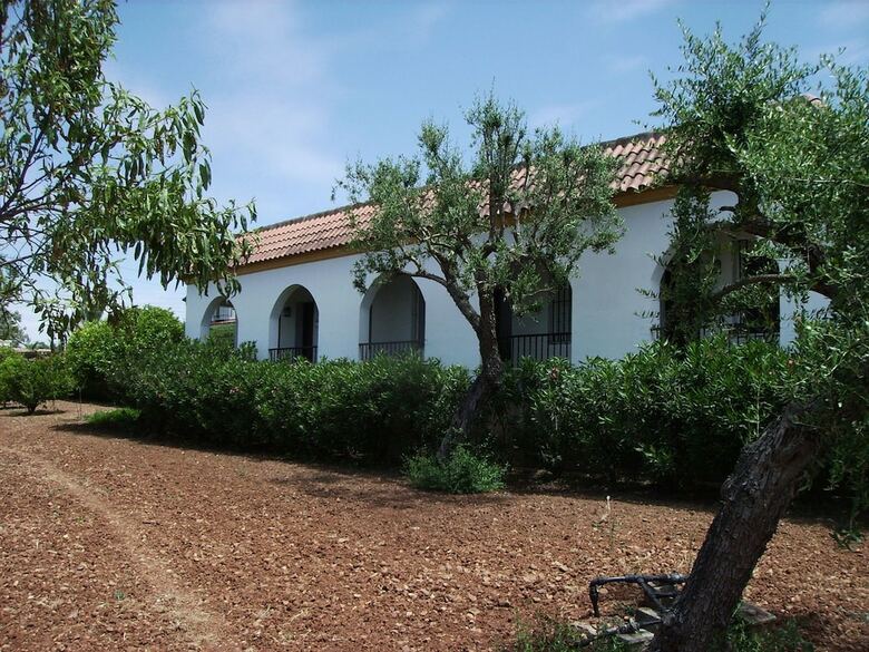Agroturismo Finca La Luz Bed & Breakfast