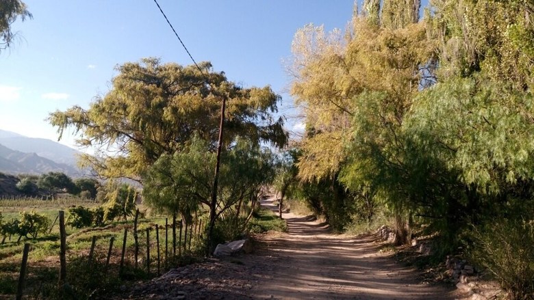 Posada La Quinta de Mar�a -tilcara