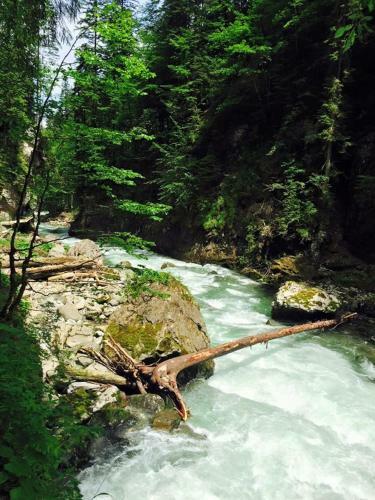 Hostal Hotel Garni Regina