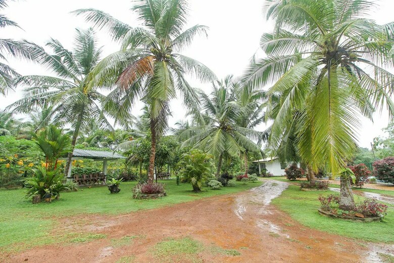 Oyo 364 Hotel Water Nest