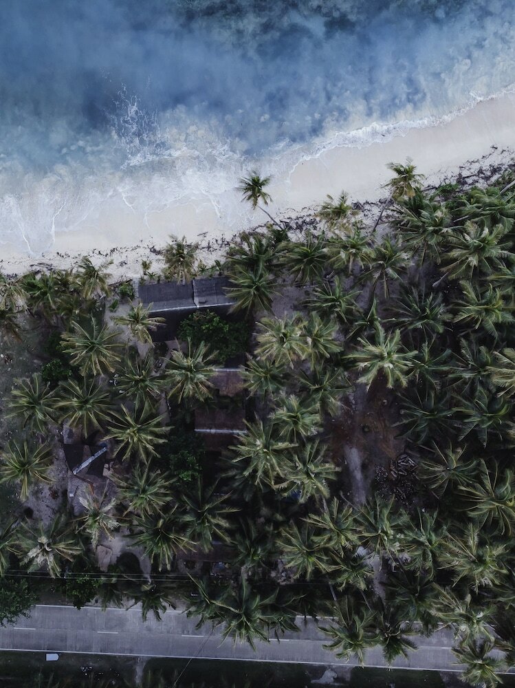 Hotel Bamboo Garden